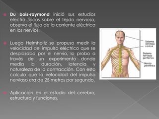 Actualmente se ha demostrado la existencia de tres tipos de conos presentes en la retina del ojo, cada uno con una fotoquímica diferente que los hace mas sensible a la luz dentro de una de las bandas de los tres colores primarios Nuestra visión es el resultado de estas combinaciones que se produce dentro del ojo. De ahí se obtienen la hipótesis sobre la electricidad y la relación con el sistema nervioso.Los experimentos posteriores se basaron en esta hipótesis .Los cuerpos tienen una cualidad natural de luz eléctrica y transmiten una carga eléctrica.