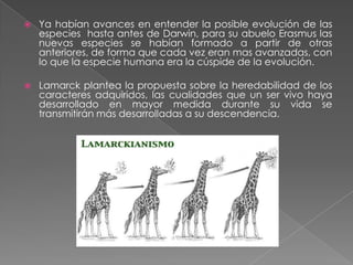 El contexto biológico y neurológicoLa psicología tal como la entendemos hoy no seria posible si el desarrollo científico ocurrido a partir del siglo 18.La aparición de la teoría de la evolución tuvo como consecuencia directa el interés por la investigación científica de los problemas psicológicos.Darwin  y su detallada exposición de los mecanismos de evolución biológica alteró el punto de vista que suponía una distinción radical entre los animales y los seres humanos.Esto rozaba peligrosamente la explicación que la religión tenia sobre el origen del hombre.