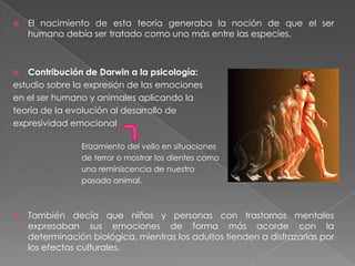 Teoría de la evolución por selección naturalMalthus: explicó que en algún punto de la historia no habrá los suficientes alimentosDarwin: los individuos de cada la especie que 			estuvieran mejor adaptados a las circunstancias 			serán los que tendrán mayor probabilidad de 			sobrevivir.Segunda clave para explicar la evolución: conocimientos de Darwin acerca de la crianza de animales domésticos. Los criadores obtenían muchas variedades de animales, mejorando sus características. Darwin afirmaba que la naturaleza sabiamente realizaba la misma operación mejorando las cualidades de cada especie.