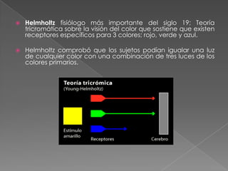 También explicó la formación de hábitos, que se produce al convertir acciones voluntarias en acciones involuntarias mediante la práctica (andar-pasos) antecedente de la distinción entre procesos automáticos y controlados en la psicología cognitiva actual.También su explicación  sobre como la visión de los alimentos  produce salivación de forma involuntaria en las personas con hambre (precedente del condicionamiento pavloviano).
