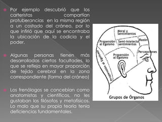 Localización de las funciones en el cerebroFRENOLOGIADescripción detallada de las funciones del cerebro, sus deficiencias teóricas fueron la causa de su posterior caída.Gallpropuso que la personalidad se puede inferir a ciertas condiciones de apariencia corporal, específicamente en función de las características del cráneo.Por ejemplo niños con buena memoria compartían también ojos grandes y protuberantes.Por esto empezó a viajar por manicomios y prisiones haciendo mediciones precisas para entender la personalidad de las personas.