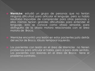 Localización del HablaBroca estudió los efectos de lesiones cerebrales y su relación con determinadas funciones deficitarias (estudió a un paciente con graves problemas de habla)Describió los casos de 25 pacientes que habían perdido el habla, todos con lesiones en el hemisferio izquierdo.Planteó que el lenguaje articulado era uno de los grandes logros de los humanos y lo ubicó en el lóbulo frontal izquierdo, planteaba que el hemisferio izquierdo del cerebro se desarrolla con mayor rapidez que el derecho y por lo tanto es más avanzado o superior.Se adelantó a los debates contemporáneos sobre los hemisferios, el izquierdo intelectual y articulado versus el derecho mítico e intuitivo
