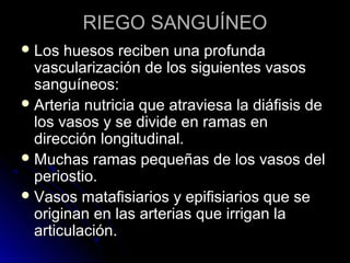 RIEGO SANGUÍNEO
 Los  huesos reciben una profunda
  vascularización de los siguientes vasos
  sanguíneos:
 Arteria nutricia que atraviesa la diáfisis de
  los vasos y se divide en ramas en
  dirección longitudinal.
 Muchas ramas pequeñas de los vasos del
  periostio.
 Vasos matafisiarios y epifisiarios que se
  originan en las arterias que irrigan la
  articulación.
 