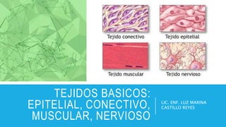 TEJIDOS BASICOS:
EPITELIAL, CONECTIVO,
MUSCULAR, NERVIOSO
LIC. ENF. LUZ MARINA
CASTILLO REYES
 