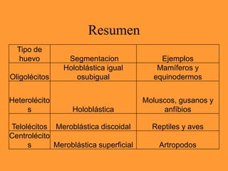 Resumen
Tipo de
huevo Segmentacion Ejemplos
Holoblástica igual Mamíferos y
Oligolécitos osubigual equinodermos
Heterolécito Moluscos, gusanos y
s Holoblástica anfíbios
Telolécitos Meroblástica discoidal Reptiles y aves
Centrolécito
s Meroblástica superficial Artropodos