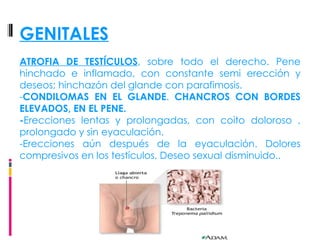 GENITALES ATROFIA DE TESTÍCULOS , sobre todo el derecho. Pene hinchado e inflamado, con constante semi erección y deseos; hinchazón del glande con parafimosis.  - CONDILOMAS EN EL GLANDE .  CHANCROS CON BORDES ELEVADOS, EN EL PENE.  - Erecciones lentas y prolongadas, con coito doloroso , prolongado y sin eyaculación.  -Erecciones aún después de la eyaculación. Dolores compresivos en los testículos. Deseo sexual disminuido.. 