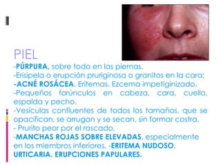 PIEL - PÚRPURA,  sobre todo en las piernas.  -Erisipela o erupción pruriginosa o granitos en la cara;   -ACNÉ ROSÁCEA . Eritemas. Ezcema impetiginizado.  -Pequeños forúnculos en cabeza, cara, cuello, espalda y pecho.  -Vesículas confluentes de todos los tamaños, que se opacifican, se arrugan y se secan, sin formar costra.  - Prurito peor por el rascado.  - MANCHAS ROJAS SOBRE ELEVADAS , especialmente en los miembros inferiores. - ERITEMA NUDOSO .   URTICARIA. ERUPCIONES PAPULARES.   
