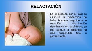 RELACTACIÓN
• Es el proceso por el cual se
estimula la producción de
leche humana, seguida a la
cesación o disminución
significativa en la síntesis, ya
sea porque la lactancia ha
sido suspendida total o
parcialmente.
 