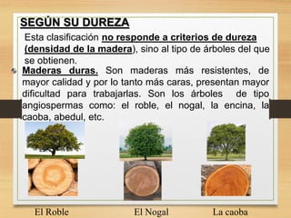 SEGÚN SU DUREZA
Esta clasificación no responde a criterios de dureza
(densidad de la madera), sino al tipo de árboles del que
se obtienen.
Maderas duras. Son maderas más resistentes, de
mayor calidad y por lo tanto más caras, presentan mayor
dificultad para trabajarlas. Son los árboles de tipo
angiospermas como: el roble, el nogal, la encina, la
caoba, abedul, etc.
.
El Roble El Nogal La caoba
 
