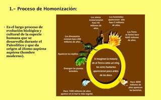 1.- Proceso de Homonización:



•   Es el largo proceso de
    evolución biológica y
    cultural de la especie
    humana que se
    desarrolla durante el
    Paleolítico y que da
    origen al Homo sapiens
    sapiens (hombre
    moderno).
 