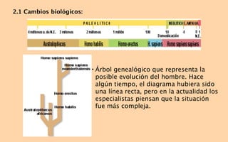 2.1 Cambios biológicos:




                          • Árbol genealógico que representa la
                            posible evolución del hombre. Hace
                            algún tiempo, el diagrama hubiera sido
                            una línea recta, pero en la actualidad los
                            especialistas piensan que la situación
                            fue más compleja.
 