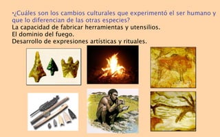 •¿Cuáles son los cambios culturales que experimentó el ser humano y
que lo diferencian de las otras especies?
La capacidad de fabricar herramientas y utensilios.
El dominio del fuego.
Desarrollo de expresiones artísticas y rituales.
 