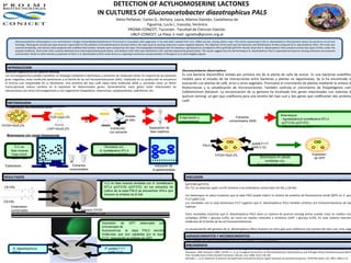 DETECTION OF ACYLHOMOSERINE LACTONES
                                                                                                         IN CULTURES OF Gluconacetobacter diazotrophicus PAL5
                                                                                                                          Nieto Peñalver, Carlos G., Bichara, Laura, Marino Damián, Castellanos de
                                                                                                                                            Figueroa, Lucía I., Irazusta, Verónica
                                                                                                                                 PROIMI‐CONICET, Tucumán. Facultad de Ciencias Exactas‐
                                                                                                                                  UNLP‐CONICET, La Plata. E‐mail: cgnieto@proimi.org.ar
                             Gluconacetobacter diazotrophicus is an acid‐tolerant nitrogen fixing Alphaproteobacterium first found in association with sugarcane. It has also been isolated from rice, coffee and tea, among others crops. The recent sequencing of the G. diazotrophicus PAL5 genome shows the presence of one luxI
                             homolog. These genes encode LuxI‐type enzymes responsible for the synthesis of N‐acylhomoserine lactones (AHLs), the main quorum sensing molecules in gram negative bacteria. The objective of this work was the detection and identification of AHLs produced by G. diazotrophicus PAL5. The strain was
                             cultured aerobically, and extracts were prepared with acidified ethyl acetate. Samples were analyzed by thin layer chromatography developed with the biosensor Agrobacterium tumefaciens NTL4 (pCF218) (pCF372). Results show that G. diazotrophicus PAL5 produce at least two types of AHLs under the
                             assayed conditions. Short‐chain AHLs could be detected since early exponential growth phase, and medium‐chain AHLs were detected in mid‐ and late‐exponential growth phase. The results suggest that the luxI homolog in G. diazotrophicus PAL5 is expressed and quorum sensing molecules are produced
                             and secreted. Similar to other bacteria, production of AHLs in G. diazotrophicus PAL5 could serves as a signaling mechanism among members of this genus or as inter kingdom signals.




                        INTRODUCCION
                Sistemas regulatorios de Quorum Sensing                                                                                                                                Gluconacetobacter diazotrophicus
                Los microorganismos pueden coordinar su fisiología mediante la biosíntesis y secreción de moléculas señal. En mayoría de las bacterias                                 Es una bacteria diazotrófica aislada por primera vez de la planta de caña de azúcar. Es una bacterias endofíticas
                gram negativas, estas moléculas pertenecen a la familia de las acil homoserinlactonas (AHL). Implicado en su producción se encuentra                                   modelo para el estudio de las interacciones entre bacterias y plantas no leguminosas. Se la ha encontrado en
                la enzima LuxI responsable de su biosíntesis. Una proteína del tipo LuxR capta estas moléculas señal y, actuando como un factor                                        asociación con plantas de café, arroz y otros vegetales. Promueve el crecimiento de plantas mediante la síntesis de
                transcripcional, induce cambios en la expresión de determinados genes. Generalmente, estos genes están relacionados las                                                fitohormonas y la solubilización de micronutrientes. También controla el crecimiento de fitopatógenos como
                interacciones con otros microorganismos y con organismos hospederos: exoenzimas, exoplisacáridos, sideróforos, etc.                                                    Colletotrichum falcatum. La secuenciación de su genoma ha localizado tres genes relacionados con sistemas de
                                                                                                                                                                                       quórum sensing: un gen que codificaría para una enzima del tipo LuxI y dos genes que codificarían dos proteínas
                                                                                                                                                                                       LuxR.
                        METODOLOGIA
                    Preparación de extractos concentrados


                                                                                                                                  Acetato                                                                                                                                         Bioensayos
                                                          DYGS+Glu0,2%                        24h                                                                                    Evaporación y                                     Extractos
                                                                                                                                  de etilo                                                                                                                                        - Agrobacterium tumefaciens NTL4
                                                                                             30°C                                                                                    concentración                                 concentrados X500
                                                                                                                                                                                                                                                                                   (pCF218) (pCF372)
            DYGS+Glu0,2%                                                                                                                                                                                                                                                          - Pseudomonas putida F117
                                                          LGIP+Gluc0,2%                                              Extracción                          Separación de
                                                                                                                    con solvente                          fase orgánica
                        Bioensayos con cepas biosensoras

                                                                                                                                                                                                                                                    P. putida F117
                            TLC en                                                                             Revelado con                                                                               PAL5
                                                                                                                                                                                                                                                      (pKR-C12)
                          fase reversa                                                                     A. tumefaciens NTL4
                           Fase móvil:                                                                      (pCF218) (pCF372)                                                                                        DYGS+Glu0,2%                                                                              Expresión
                          MeOH:H2O                                                                                                                                                                                                                             Bioensayos en placas                             de GFP
                                                                                                                                                                                                                                                                   reveladas con
                Estándares                                                       Extractos                                                                   Inducción de                                                                                    P. putida F117 (pKR-C12)
                                                                               concentrados                                                                 β-galactosidasa

             RESULTADOS                                                                                                                                                                    DISCUSION
                                                                                                                                                                                          Los extractos concentrados de cultivos de G. diazotrophicus PAL5 inducieron la síntesis de β‐galactosidasa en A. tumefaciens NTL4
                                                                                                               TLC en fase reversa revelada con A. tumefaciens                            (pCF218) (pCF372).
             C6-HSL                         O                                                                  NTL4 (pCF218) (pCF372): en los extractos de                                Por TLC se observan spots con Rf similares a los estándares comerciales C6‐HSL y C8‐HSL.
                                      N H

                                                                                                               cultivo de la cepa PAL5 se encuentran AHLs que
            H   3   C
                                                O
                                  O


                                      N H
                                            O
                                                                                                               inducen la síntesis de β-Gal.                                              Los bioensayos en placa muestran que la cepa PAL5 puede inducir la síntesis de proteína de fluorescencia verde (GFP) en P. putida
H   3   C
                                                O
                                  O                                                                                                                                                       F117 (pKR‐C12).
            C8-HSL                                                                                                                                                                        Los resultados con la cepa biosensora F117 sugieren que G. diazotrophicus PAL5 también sintetiza acil homoserinlactonas de largas
                          Estándares                                                                                                                                                      cadenas.
                          comerciales                                                     Extracto DYGS
                                                                                              Extracto LGIP                                                                               Estos resultados muestran que G. diazotrophicus PAL5 tiene un sistema de quorum sensing activo cuando crece en medios ricos y
                                                                                                                                                                                          complejos (DYGS + glucosa 0,2%), así como en medios minerales y sintéticos (LGIP + glucosa 0,2%). En este sistema intervienen
                                                                                                                                                                                          moléculas de la familia de las acil homoserinlactonas.
                                                                                                             Expresión    de    GFP      observada por
                                                                                                             microscopia de
                                                                                                                                                                                          La secuenciación del genoma de G. diazotrophicus PAL5 muestra un único gen que codificaría una enzima del tipo LuxI. Esto sugiere
                                                                                                             fluorescencia: la cepa PAL5 secreta
                                                                                                                                                                                          que esta enzima sería la responsable de la síntesis de todas las moléculas de quorum sensing producidas por la cepa PAL5.
                                                                                                             moléculas que son captadas por la cepa
                                                                                                                                                                                           AGRADECIMIENTOS Y RECONOCIMIENTOS
                                                                                                             F117, induciendo la síntesis de GFP
                                                                                                                                                                                           Este trabajo fue subvencionado por ANPCYT (PICT2007 N°734) y CONICET.
                                                                                                                                                                                           BIBLIOGRAFIA
                           G. diazotrophicus                                                                   P. putida F117                                                             Bertalan, M., et al. Complete genome sequence of the sugarcane nitrogen‐fixing endophyte Gluconacetobacter diazotrophicus Pal5. BMC Genomics 2009, 10:450.
                           PAL5                                                                                  (pKR-C12)                                                                Saravanan, BMC Genomics 2009, 10:450. S., et al. Ecological Occurrence of Gluconacetobacter diazotrophicus and Nitrogen‐fixing Acetobacteraceae Members:
                                                                                                                                                                                          Their Possible Role in Plant Growth Promotion. Microb. Ecol. 2008, 55(1):130‐140.
                                                                                                                                                                                          Steindler, L., et al. Detection of quorum‐sensing N‐acyl homoserine lactone signal molecules by bacterial biosensors. FEMS Microbiol. Lett. 2007, 266(1):1‐9.
 