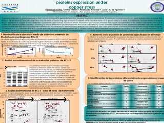 Proteomic study of Rhodotorula mucilaginosa RCL-11 revealed differential                                                                                                                                                                                                                                     BT-P11
                                                                                 proteins expression under
                                                                                                copper stress
                                                                     Verónica Irazusta , Cristina Estevéz , María Julia Amoroso , Lucía I. C. de Figueroa                            1                    1,2                                 1,2                                                 1,2
                                                                                                                                                              1PROIMI-CONICET,
                                                                                                                                                                            Av. Belgrano y Pje. Caseros, Tucumán, T4001MVB, Argentina,
                                                                                                                                                    2Universidad Nacional de Tucumán, Tucumán, T4001MVB, Argentina, virazusta@proimi.org.ar

                                                                                                                                                                                                          ABSTRAC
                 Organisms subjected to metal exposures in their natural environments generally have had develop resistance mechanisms. Rhodotorula mucilaginosa RCL-11, yeast isolated from a copper filter
                 plant at the province of Tucumán, Argentina, has the ability of supporting high amounts of copper metal by a slow down in its growth rate(1). In order to understand the mechanism involved in
                 RCL-11 resistance to copper it was conducted a proteomic approach(2). Results of atomic absorption spectroscopy showed that copper concentration in the medium decreased from 0.5 to
                 0.2mM 48 h later inoculation occurred. Analyzing by mono-dimensional gel electrophoresis the crude cells extracts, it was observed differential bands expressions between cells with or without
                 copper. Further, with the aim of studying these differences, two-dimensional electrophoresis analyses was carried out. Gels were silver-stained, scanned and analyzed with Image Master Program.
                 2-D analysis of RCL-11 revealed that 48 h copper exposure produced an over-expression of 20 proteins; some of them increased their expression according to the time of copper exposure (16, 24
                 and 48 h). The results obtained in the present work show that when exposing R. mucilaginosa RCL-11 to 0.5mM copper concentration, it is produced a differential protein expressions probably
                 involved in cell resistance mechanisms.
           1. Disminución del cobre en el medio de cultivo en presencia de                                                                                                                                                4. Aumento de la expresión de proteínas específicas con el tiempo
           Rhodothorula mucilagenosa RCL-11                                                                                                                                                                         Se observa el aumento gradual de la expresión de algunas proteínas correlacionada con el
           Las células de levadura fueron cultivadas en presencia o ausencia de 0,5 mM Cu2+ en medio                                                                                                                tiempo de exposición al cobre. A las 48 horas se aprecia la máxima expresión de los spots
           liquido. A las 24 horas de cultivo las levaduras logran disminuir los niveles del metal a la mitad,                                                                                                      señalados en la figura.
           logrando los menores valores de 0,14 mM a las 72 horas. Se demuestra que RCL-11 presenta la                                                                                                                                                               – Cu                                                     + Cu
                 Absorvancia 600 nm




           capacidad de disminuir los niveles de cobre del medio de cultivo.                                                                                                                                                                 1                                                                        1                                6
                                                            Curva de crecimiento                                                           Contenido de Cu extracelular                                                                                                                                 6
                                       30                   - Cu                                                                                                                               +Cu
                                                            + Cu                                                         Cu mM   0,5
                                                                                                                                 0,4
                                                                                                                                                                                                                          16 hs                                  8
                                       20                                                                                                                                                                                                                                                                                          8
                                                                                                                                 0,3
                                       10                                                                                        0,2
                                                                                                                                 0,1
                                           0                                                                                      0                                                                                                                 1                                                             1
                                                                20             40                   60         80                      0                 20                   40          60         80                                                                                          6
                                               0                                                                                                                                                                                                                                                                                                           6
                                                                           tiempo                                                                                          tiempo
                                                                                                                                                                                                                           24 hs
                                                                                                                                                                                                                                                                                                                              8
                     2. Análisis monodimensional de los extractos proteicos de RCL-11                                                                                                                                                                                 8



                                                                                                                                                                                                                                                        1                                            6            1
                                               24hs                 48hs                                  Las proteínas totales fueron extraídas por medio                                                                                                                                                                                             6
0,5 mM Cu                                  -       +            -          +                              mecánico utilizando perlas de vidrio y vórtex. Las                                                              48 hs
                                                                                                                                                                                                                                                                       8                                                     8
                                      97                                                                  proteínas fueron separadas por sistema de electroforesis
                                                                                                          monodimensional SDS-PAGE. Los extractos proteicos
Peso molecular




                                      84
                                                                                                          corresponden a distintos tiempos de cultivo, en
                                      66
    (KDa)




                                                                                                          presencia y ausencia de cobre. Los geles fueron teñidos
                                      55                                                                  con EZ blue de BioRad. Se puede observar un perfil de                                                      5. Identificación de las proteínas diferencialmente expresadas en presencia
                                      45                                                                  bandas distinto en presencia y ausencia de cobre, tanto
                                                                                                          a 24 como a 48 horas de cultivo. Dichas diferencias                                                                                           de cobre
                                      30                                                                                                                                                                             Las proteínas fueron identificadas mediante huella peptídica combinada con secuenciación
                                                                                                          pueden traducirse en la expresión diferencial de las
                                      20                                                                  proteínas cuando las células son sometidas al                                                              MS/MS.
                                                                                                                                                                                                                                     Proteína                   Spots            Taxonomía           Score
                                                                                                          tratamiento con el cobre.
                                                                                                                                                                                                                    Proteína mitocondrial de choque térmico
                                                                                                                                                                                                                                                                                                            1,2             Puccinia graminis f. sp             40
                                           3. Análisis bidimensional de RCL-11 a las 48 horas de tratamiento                                                                                                        (Hsp88)
 Las proteínas fueron separadas según su punto isoelectrico en tiras de 11cm 3-11NL (GE) y según                                                                                                                    Metionina sintetasa                                                              3,4,5,6                Puccinia graminis f. sp             41
                                                                                                                                                                                                                    Proteína mitocondrial de choque térmico
 su peso en SDS-PAGE al 12,5 %. Se observan spots diferencialmente expresados cuando las                                                                                                                                                                                                                    7,8               Ustilago maydis 521              162
                                                                                                                                                                                                                    (Hsp70)
 células son cultivadas con Cu2+.
                                                                                                                                                                                                                    Probable chaperona de choque térmico
                                                                     – Cu 48 horas                                                                   + Cu 48 horas                                                                                                                                          9             Ashbya gossypii ATCC 10895            85
                                           3                                                                    11   3                                                                         11                   (Familia Hsp70)
                          97                           1             2                                                                               2                                                              Beta glucosidasa                                                                        10                    Aspergillus niger             41
                                                                           3                5                                          1                                     5
                                                                                   4                                                                     3        4
                                                                                                6                                                                                6                                  Proteína mitocondrial de choque térmico
                            66                                  7                                                                               7                                                                                                                                                           11                Ustilago maydis 521               96
                                                                9
                                                                                                                                                                                                                    (Hsp60)
                                                                               8                                                                9
                          45
                                                           11                          10                                                  11
                                                                                                                                                              8
                                                                                                                                                                      10                                            Superóxido dismutasa
                                                                                                                                                                                                                                                                                  CONCLUSIONES              12                Rhodotorula glutinis              25
     Peso molecular




                                                                                                                                                                                                                •La capacidad de reducir los niveles de cobre en el medio de cultivo por parte de la levadura
                                                                                                                                                                                                                                                                             cultivo
                              29                                                                                                                                                                                Rhodothorula mucilagenosa RCL-11, se correlaciona con la expresión diferencial y selectiva de
                                                                                                                                                                                                                sus proteínas.
                                                                                                                                                                                                                             .
     (KDa)




                               20
                                                                                                                                                                                                                 •Las células responden al estrés provocado por el metal, aumentando la expresión de proteínas
                                                                                                                                                                                                                           cé                                    estré                                          expresió proteí
                                                                                                         12                                                                          12
                                                                                                                                                                                                                 directamente implicadas en la defensa contra el estrés oxidativo, entre ellas destacan las
                                                                                                                                                                                                                                                                                         estré oxidativo,
                                                                                                                                                                                                                REFERENCIAS
                             14                                                                                                                                                                                 (1) Villegas LB, Amoroso MJ, C de Figueroa LI. J.rmico (Hsp60,70,88) y la superóxido dismutasa.
                                                                                                                                                                                                                 chaperonas de choque té Basic Microbiol. (2005) 45 5, 381–391
                                                                                                                                                                                                                                                            té                            superó     dismutasa.
                                                                                                                                                                                                                (2) Irazusta V, Cabiscol E, Reverter-Branchat G, Ros J, Tamarit J. JBC (2006) 28118, 12227-32
                                                                                                                                                                                                                Este trabajo ha contado con el financiamiento de la Universidad Nacional de Tucumán CIUNT 26/D415 y PICT Préstamo BID 2007-568 del FONCyT (Agencia)
 