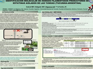 IDENTIFICACIÓN MOLECULAR DE HONGOS FILAMENTOSOS PRODUCTORES DE
                            ESTATINAS AISLADOS DE LAS YUNGAS (TUCUMÁN-ARGENTINA)
                                                                                                                       Cabral ME1; Delgado OD1; Figueroa LIC                            1,2       & Fariña JI1.
           PROIMI – CONICET. Av. Belgrano y Pje. Caseros, Tucumán, Argentina. 2Universidad Nacional de Tucumán, Facultad de Bioquímica, Química y Farmacia, Tucumán,
           1

           Argentina. e-mail: mcabral@proimi.org.ar
          INTRODUCCIÓN                                                                                                                      MATERIALES Y MÉTODOS
                                                                                                                                           La capacidad de producir estatinas fue evaluada en una etapa previa de trabajo mediante el análisis de extractos orgánicos de cultivos fúngicos por
Las enfermedades cardiovasculares representan una de las principales causas de muerte a nivel                                              cromatografía en capa fina de sílica gel (TLC) y mediante bioensayos con céspedes de levadura donde se evaluó el efecto inhibitorio de las estatinas sobre el
mundial. La utilización de estatinas ha mostrado gran efectividad y seguridad en la reducción de los                                       crecimiento de dichos microorganismos. Los resultados fueron posteriormente confimados por RP-HPLC.
niveles de colesterol plasmático en pacientes hipercolesterolémicos, inhibiendo la síntesis de novo                                        En base a los resultados del análisis realizado, se seleccionaron los mejores productores potenciales de estatinas, procediendo a la identificación de estos
                                                                                                                                           aislamientos por amplificación y secuenciación de segmentos completos (ITS1, ITS2, 5.8S) y parciales (dominio D1/D2 de subunidad 28S) del ADNr (4) (Figura 2).
del colesterol endógeno. La actividad hipocolesterolémica de las estatinas, varias de ellas
metabolitos secundarios de origen fúngico, se basa en la inhibición competitiva de la enzima HMG-                                                                                                 ITS1
CoA reductasa, que cataliza el paso limitante de la velocidad en la vía de síntesis del colesterol (1),                                                                                              18S                   5.8S                           28S
debido a la similitud estructural existente entre la forma β-hidroxiácido de las estatinas y el sustrato                                                                                                                                               NL4
de dicha enzima (HMGCoA) (Figura 1). A través de este mismo mecanismo, las estatinas bloquean                                                                                                        Figura 2: ubicación del fragmento ITS1-NL4 del ADNr.
la síntesis de ergosterol, inhibiendo así el crecimiento en levaduras.
                                                                                                                                           Cultivos fúngicos:
Además de su efecto hipocolesterolémico, las estatinas presentan capacidad de inducir apoptosis.                                           Los aislamientos de las Yungas LY 28.1, LY 30.1, LY 30.2, LY 37.11, LY 38.4 y LY 39.1, fueron cultivados en medio sólido Czapek a 25ºC durante 5 días.
La lovastatina y sus análogos bloquean la síntesis de metabolitos intermediarios en la ruta del                                            Extracción del DNA genómico total:
                                                                                                                                           La extracción de DNA se realizó por tratamiento del micelio fúngico utilizando un kit comercial de QBiogene, según indicaciones del fabricante.
mevalonato, entre ellos, isoprenoides necesarios para la síntesis de proteínas esenciales en el
                                                                                                                                           Reacción en cadena de la polimerasa (PCR):
progreso del ciclo celular (2) (Figura 1). Esta popiedad haría a las estatinas aplicables también al                                       Las secuencias de los primers utilizados para amplificar la región D1/D2 de la subunidad 26S del ADNr fueron:
tratamiento de enfermedades fibroproliferativas y tumorales. Adicionalmente, se observó que estos                                          ITS1 5`-TCC GTA GGT GAA CCT GCG G-3` (4)
metabolitos fúngicos y sus análogos sintéticos presentan actividad inhibitoria sobre la velocidad de                                       NL4 5`-GGT CCG TGT TTC AAG ACG G-3` (5)
replicación de HIV-1 en células infectadas (3).                                                                                            Las amplificaciones fueron llevadas a cabo utilizando un termociclador PerkinElmer con el siguiente programa de PCR: 4 min a 94°C; 30 s a 94°C; 30 s a 52°C; 1.5 min a
                                                          HMG-CoA                                                H O            O          70°C (30 ciclos), 7 min a 72°C, y finalmente tiempo indefinido a 4°C. Electroforesis de DNA en geles de agarosa:
                                                                                                                          O H
                                                                         HMG-CoA
                                                                                                      Statins            O H               El ADN resultante de la extracción y de la reacción de amplificación se analizó por electroforesis en gel de agarosa al 0,8% en buffer TAE 1X. El revelado se realizó con
                                                                         reductase
                                                          Mevalonate                                            R1                         bromuro de etidio y las bandas se visualizaron por fluorescencia emitida al irradiar con luz ultravioleta.
                                                                                                                          C H       3      Secuenciación e identificación molecular:
                                                        Isopentenyl-PP                           R2                                        La secuenciación de las regiones ITS1- 5.8S - ITS2 y del dominio D1/D2 de la subunidad 28S del rDNA fue realizada en MacroGen (Corea). Las secuencias fueron
                                                                                                                                           depositadas en la base de datos GenBank. Las mismas fueron comparadas con las ya existentes en dicha base de datos, con la finalidad de construir los árboles
                                                          Geranyl-PP
                                                                                                                                           filogenéticos correspondientes.
                 Farnesylated proteins (Ras, etc)

                                                                                                                                            RESULTADOS Y DISCUSIÓN
                                                         Farnesyl-PP                 Geranylgeranyl-PP


                                                          Squalene         Geranylgeranylated proteins (Rho, etc)
                                                                                                                                           Las cepas seleccionadas, productoras de estatinas y/o compuestos químicamente relacionados, mostraron mayor porcentaje de
                                           ERGOSTEROL/ CHOLESTEROL / STIGMASTEROL                                                          similitud con cepas de los géneros Penicillium, Fusarium e Hypocrea (Tabla 1).

          Figura 1. Actividad inhibitoria de las estatinas sobre la vía de síntesis de esteroles y otros dervidados del
                                                                                                                                           Las secuencias fueron depositadas en la base de datos Tabla 1: Similitud entre las secuencias del dominio D1/D2 de aislamientos fúngicos de Las
                                                                                                                                                                                                     Yungas y organismos relacionados.
          mevalonato.                                                                                                                      GenBank bajo los números de acceso FJ434201,              Aislamiento Nicho ecológico          Organismos relacionados           Similtud (%)

Debido a que la producción microbiológica de estatinas no                                                                                  FJ434202, FJ434203, FJ434204, FJ434205                       LY 28.1
                                                                                                                                                                                                                       Hongo de
                                                                                                                                                                                                                       sombrero
                                                                                                                                                                                                                                       Fusarium chlamydosporum
                                                                                                                                                                                                                                       NBAIM:236                                 99,5

se ha encarado aún en nuestro país, se consideró de gran                                                                                   correspondientes a los aislamientos LY 28.1, LY 30.1,        LY 30.1         Tronco
                                                                                                                                                                                                                                       Hypocrea vinosa CBS 960.68
                                                                                                                                                                                                                                       Hypocrea lixii CBS 226.95
                                                                                                                                                                                                                                                                                 100
                                                                                                                                                                                                                                                                                 100

importancia la búsqueda de nuevas cepas fúngicas con                                                                                        LY 30.2, LY 37.11, LY 38.4 y LY 39.1, respectivamente.      LY 37.11
                                                                                                                                                                                                        LY 38.4
                                                                                                                                                                                                                         Tierra        Penicillium kojigenum NRRL 3442
                                                                                                                                                                                                                                       Penicillium gladioli NRRL 939
                                                                                                                                                                                                                                                                                 96,3
                                                                                                                                                                                                                                                                                 99,3

capacidad para producir este tipo de metabolito                                                                                            Las mismas fueron comparadas con las ya existentes                          Hongo de
                                                                                                                                                                                                                       sombrero        Penicillium clavigerum NRRL1004           99,3

secundario.                                                                                                                                en dicha base de datos, con la finalidad de construir las    LY 39.1         Tronco
                                                                                                                                                                                                                                       Penicillium crustosum NRRL 35178
                                                                                                                                                                                                                                       Penicillium gladioli NRRL 939
                                                                                                                                                                                                                                                                                 99,3
                                                                                                                                                                                                                                                                                 99,3

La selección de hongos filamentosos productores se                                                                                         matrices de similitud y los árboles filogenéticos                                           Penicillium clavigerum NRRL1004           99,3
                                                                                                                                                                                                                                       Penicillium crustosum NRRL 35178          99,3
realizó a partir de 201 aislamientos obtenidos de la                                                                                       correspondientes (Figura 2).
zona de Las Yungas (Tucumán-Argentina), un                                                                                                                                         1          2       3     4        5     6      7        8
                                                                                                                                                                                                                                                                                  98   LY38.4
ecosistema de amplia diversidad microbiológica y                                                                                               1 LY 38.4                           100%                                                              24
                                                                                                                                                                                                                                                                                       LY39.1
                                                                                                                                               2 LY 39.1                           100% 100%
escasamente estudiada.                                                                                                                         3 P. gladioli NRRL 939              99.3% 99.3%      100%                                             17
                                                                                                                                                                                                                                                          P. clavigerum NRRL 1004
                                                                                                                                               4 P. crustosum NRRL 35178           99.3% 99.3%      99.6%   100%
La identificación de aislamientos fúngicos por métodos de taxonomía convencional a veces requiere                                              5 P. clavigerum NRRL 1004
                                                                                                                                               6 A. crystallinus NRRL 5082
                                                                                                                                                                                   99.3% 99.3%      99.4%   99.3%    100%                      51
                                                                                                                                                                                                                                                          P. crustosum NRRL 35178
                                                                                                                                                                                   98.9% 98.9%      98.2%   98.4%    98.2% 100%
técnicas específicas y laboriosas, con un alto insumo de tiempo y propensas a errores si se carece                                             7P. camembertii NRRL 874            99.1% 99.1%      99.6%   99.7%    99.1% 98.0% 100%       53
                                                                                                                                                                                                                                                          P. gladioli NRRL 939
                                                                                                                                               8 P. angulare NRRL 35683            91.4% 91.4%      91.4%   91.6%    91.9% 91.7% 91.6% 100%
de la debida experiencia.                                                                                                                                                                                                                                       A. crystallinus NRRL 5082
Por este motivo, es actualmente reconocido que la aplicación de técnicas moleculares representa                                                                                                                                                    P. camemberti NRRL 874
una herramienta de alto valor para la identificación rápida y precisa de los hongos filamentosos.                                                                                                                                                                                      P. angulare NRRL 35683

El objetivo de este trabajo fue identificar mediante técnicas moleculares aquellos aislamientos                                                                                                              0.005

fúngicos que fueron seleccionados como mejores productores de estatinas y compuestos                                                           Figura 2. Matriz de similitud y árbol filogenético construido en base a secuencias del dominio D1/D2 para los aislamientos LY 38.4, LY 39.1 y cepas
químicamente relacionados con la misma actividad.                                                                                              filogenéticamente cercanas.
                                                                                                                                           Los aislamientos LY 38.4 y LY 39.1 mostraron estar relacionados filogenéticamente a especies del género Penicillium. Entre sí,
      Bibliografía                                                                                                                         dichos aislamientos presentaron un 100% de identidad comparando tanto las secuencias de la región D1/D2 como el fragmento
                                                                                                                                           completo ITS1- NL4. De acuerdo a esto, podría tratarse, entonces, de dos cepas de la misma especie pertenecientes al género
 1)   Goldstein J.L. & Brown M.S. (1990). Nature 343: 425-430.
 2)   Matar P., Rozados V.R., Roggero E.A. & Scharovsky O.G.(1998).Cancer Biotheraphy and Radiopharmaceutical 13:387- 393.                 Penicillium.
 3)   Maziére J.C., Landureau J.C., Giral P., AuclairM., Fall L. & Zagury D. (1994). Biomed. & Pharmacother. 48: 63-67.
 4)   Kurtzman, C. P. and C. J. Robnett (1997). Journal of Clinical Microbiology 35 (5),1216.                                              El aislamiento LY 37.11 mostró sólo un 96,3% de similitud con una cepa de Penicillium kojigenum, pudiendo tratarse en este caso
 5)   Lott, T. J.; Kuykendall, R. J. and Reiss E. (1993). Yeast. 9: 1199-1206.                                                             de una nueva especie.
                                                                                                                                           CONCLUSIONES
                                                                                                                                           Este trabajo permitió la identificación de hongos filamentosos pertenecientes a un ecosistema ecológicamente relevante, escasamente explorado en su diversidad
      Agradecimientos                                                                                                                      microbiológica, y que podría representar un reservorio de elevado potencial biotecnológico aún sin explotar. El aporte de datos referidos a la microflora de la región
                                                                                                                                           es de gran importancia, ya que son escasos los estudios existentes al respecto. Por otra parte, también es posible contar actualmente con cepas de identidad
 Los autores agradecen a ANPCYT (PICT 14496/03, PICT 38164/05), a la Universidad Nacional de Tucumán (CIUNT D-311) y                       conocida con capacidad para producir metabolitos secundarios de potencial aplicación en la industria farmacéutica, tales como las estatinas.
 a CONICET (PIP 6202) por el apoyo financiero.
 