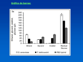 Gráfico de barras:


     5a                        240
                               220
                               200
Ethanol, glycerol, arabitol,
                               180
                               160
      glucose (g/l)

                               140
                               120
                               100
                                80
                                60
                                40
                                20
                                 0
                                        Ethanol   Glycerol          Arabitol       Residual
                                                                                   Glucose

                               S. cerevisiae      T. delb rueckii              PB2 hyb rid
 