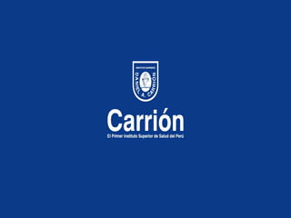 clase_leguminosas_NBHA_19_01_23.pptx