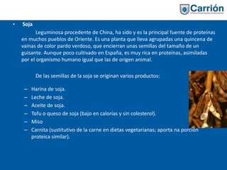 • Soja
Leguminosa procedente de China, ha sido y es la principal fuente de proteínas
en muchos pueblos de Oriente. Es una planta que lleva agrupadas una quincena de
vainas de color pardo verdoso, que encierran unas semillas del tamaño de un
guisante. Aunque poco cultivado en España, es muy rica en proteínas, asimiladas
por el organismo humano igual que las de origen animal.
De las semillas de la soja se originan varios productos:
– Harina de soja.
– Leche de soja.
– Aceite de soja.
– Tofu o queso de soja (bajo en calorías y sin colesterol).
– Miso
– Carnita (sustitutivo de la carne en dietas vegetarianas; aporta na porción
proteica similar).
 