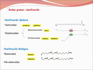 Clasificación Química   Saturados Insaturados palmítico linolenico esteárico oleic o linoleico Monoinsaturados Polinsaturados Clasificación Biológica   Esenciales  No esenciales linolenico linoleico Ácidos grasos: clasificación   