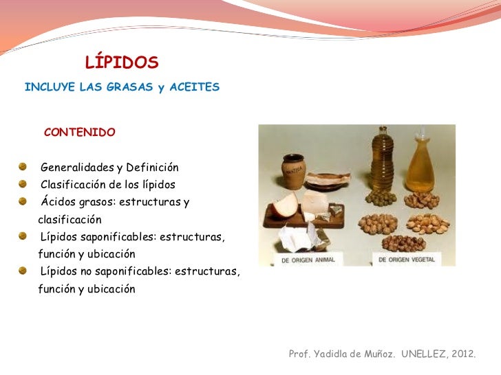 Clase Lipidos