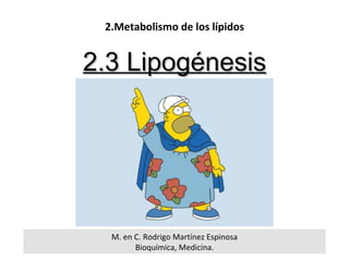 M. en C. Rodrigo Martínez Espinosa Bioquímica, Medicina. 2.3 Lipogénesis 2.Metabolismo de los lípidos 