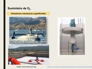 Suministro de O2
Aireadores mecánicos superficiales
Fuente: www.scmtec.com.esp Fuente: www.dlc.cl/wp-content/themes/dlc/archivos/aireadores.pdf
 