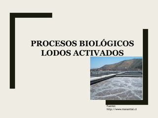 PROCESOS BIOLÓGICOS
LODOS ACTIVADOS
Fuente:
http://www.manantial.cl
 
