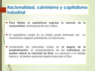 Racionalidad, calvinismo y capitalismo
industrial
 Para Weber el capitalismo expresa la esencia de la
racionalidad, contraponiendo así a Marx.
 El capitalismo surgió en un medio social dominado por un
movimiento religioso protestante: el Calvinismo.
 Inicialmente los calvinistas creían en el dogma de la
predestinación: el comportamiento de los individuos no
podían alterar la voluntad de Dios. La salvación o el castigo
eterno y el destino personal estaba reservado a Dios .
 