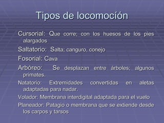 Tipos de locomocíón
Cursorial: Que corre; con los huesos de los pies
alargados
Saltatorio: Salta; canguro, conejo
Fosorial: Cava
Arbóreo: Se desplazan entre árboles; algunos
primates.
Natatorio: Extremidades convertidas en aletas
adaptadas para nadar.
Volador: Membrana interdigital adaptada para el vuelo
Planeador: Patagio o membrana que se extiende desde
los carpos y tarsos
 