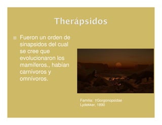 Fueron un orden de
sinapsidos del cual
se cree que
evolucionaron los
mamíferos., habían
carnívoros y
omnívoros.


                      Familia: †Gorgonopsidae
                      Lydekker, 1890
 