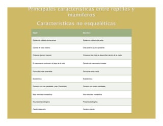 Réptil                                          Mamífero



Epidermis cubierta de escamas                   Epidermis cubierta de pelos



Carece de oído externo                          Oído externo o pina presente



Ovíparos (ponen huevos)                         Vivíparos (las crías se desarrollan dentro de la madre



El crecimiento continua a lo largo de la vida   Periodo de crecimiento limitado



Forma de andar extendida                        Forma de andar recta



Ectotérmico                                     Endotérmico



Corazón con tres cavidades (exp. Cocodrilos)    Corazón con cuatro cavidades



Baja velocidad metabólica                       Alta velocidad metabólica



No presenta diafragma                           Presenta diafragma



Cerebro pequeño                                 Cerebro grande
 