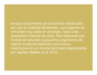 Aunque actualmente se encuentran distribuidos
por casi la totalidad del planeta, sus orígenes se
remontan muy atrás en el tiempo, hace unos
doscientos millones de años. Pero entonces sus
formas se reducían a pequeños organismos de
hábitos fundamentalmente nocturnos e
insectívoros en un mundo dominado básicamente
por reptiles (Walker et al,1975).
 