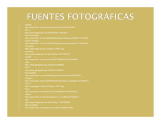 caballo
http://www.flickr.com/photos/constanzabrc/5610141358/
Burro
http://www.fotopedia.com/items/flickr-44032315
Giant Armadillo
http://www.flickr.com/x/t/0090009/photos/smithsonianwild/5177479236/
Giant armadillo
http://www.flickr.com/x/t/0095009/photos/smithsonianwild/5177644840/
tamandúa
http://opencage.info/pics.e/large_10301.asp
perezoso
http://www.fotopedia.com/items/flickr-4237765187
Conejo
http://www.flickr.com/photos/33282475@N05/5833332849/
ratón
http://www.geograph.org.uk/photo/1295936
Rata
http://www.geograph.org.uk/photo/1585934
Puercoespín
http://www.flickr.com/x/t/0095009/photos/xchanfle/2138839587/
Chiguiro
http://www.flickr.com/x/t/0099009/photos/muzina_shanghai/167592971/
Puma
http://opencage.info/pics.e/large_12831.asp
Tigre
http://www.flickr.com/photos/31112252@N00/4316656975/
Jaguar
http://www.flickr.com/photos/joachim_s_mueller/531408447/
león
http://www.fotopedia.com/items/flickr-1330793806
Mono aullador
http://www.flickr.com/photos/maradentro/2638910882/
 