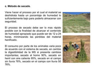c. Método de secado.
Viene hacer el proceso por el cual el material se
deshidrata hasta un porcentaje de humedad lo
suficientemente bajo para poderlo almacenar con
seguridad.
El proceso de secado debe ser lo mas rápido
posible con la finalidad de alcanzar el contenido
de humedad apropiado que puede ser de 12 a 24
horas, minimizando las perdidas del material
henificado.
El consumo por parte de los animales varia poco
de acuerdo con el sistema de secado, en cambio
la digestibilidad de la MS si presenta cambios
importantes; secado al horno 90%, secado en
henil con aire caliente 85%, secado en el campo
sin lluvia 76%, secado en el campo con lluvia 50
76%.
 