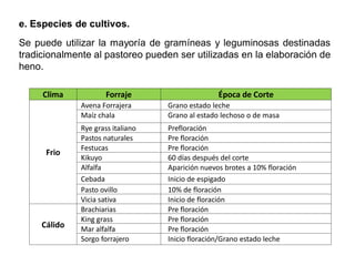 e. Especies de cultivos.
Se puede utilizar la mayoría de gramíneas y leguminosas destinadas
tradicionalmente al pastoreo pueden ser utilizadas en la elaboración de
heno.
Clima Forraje Época de Corte
Frio
Avena Forrajera Grano estado leche
Maíz chala Grano al estado lechoso o de masa
Rye grass italiano Prefloración
Pastos naturales Pre floración
Festucas Pre floración
Kikuyo 60 días después del corte
Alfalfa Aparición nuevos brotes a 10% floración
Cebada Inicio de espigado
Pasto ovillo 10% de floración
Vicia sativa Inicio de floración
Cálido
Brachiarias Pre floración
King grass Pre floración
Mar alfalfa Pre floración
Sorgo forrajero Inicio floración/Grano estado leche
 