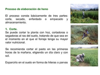 Proceso de elaboración de heno
El proceso consta básicamente de tres partes:
corte, secado, enfardado o empacado y
almacenamiento.
1. Corte.
Se puede cortar la planta con hoz, cortadoras o
segadoras al ras del suelo, tratando de que sea en
el momento en el que el forraje tenga su mayor
valor nutricional.
Se recomienda cortar el pasto en las primeras
horas de la mañana, eligiendo un día claro y con
sol.
Esparcirlo en el suelo en forma de hileras o parvas
 