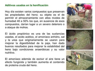 Aditivos usados en la henificación
Hoy día existen varios compuestos que preservan
las propiedades del heno; su objeto es el de
permitir el almacenamiento con altos niveles de
humedad 40 a 50% los que, en ausencia de esos
compuestos, darían lugar a un severo deterioro o
a ataque de mohos.
El ácido propiónico es una de las sustancias
usadas, el acido acético, el amoníaco anhidro, sal
y la urea que originariamente se usaron para
mejorar la digestibilidad de la paja, han dado
buenos resultados para mejorar la estabilidad del
heno bajo condiciones anaeróbicas y su valor
nutritivo.
El amoníaco además de excluir el aire tiene un
efecto fungicida y también aumenta el contenido
de proteína cruda del heno.
 