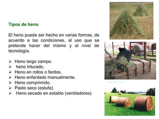 Tipos de heno
El heno puede ser hecho en varias formas, de
acuerdo a las condiciones, al uso que se
pretende hacer del mismo y al nivel de
tecnología.
➢ Heno largo campo.
➢ heno triturado.
➢ Heno en rollos o fardos.
➢ Heno enfardado manualmente.
➢ Heno comprimido.
➢ Pasto seco (estufa).
➢ Heno secado en establo (ventiladores)
 