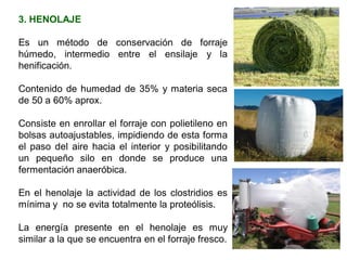 3. HENOLAJE
Es un método de conservación de forraje
húmedo, intermedio entre el ensilaje y la
henificación.
Contenido de humedad de 35% y materia seca
de 50 a 60% aprox.
Consiste en enrollar el forraje con polietileno en
bolsas autoajustables, impidiendo de esta forma
el paso del aire hacia el interior y posibilitando
un pequeño silo en donde se produce una
fermentación anaeróbica.
En el henolaje la actividad de los clostridios es
mínima y no se evita totalmente la proteólisis.
La energía presente en el henolaje es muy
similar a la que se encuentra en el forraje fresco.
 