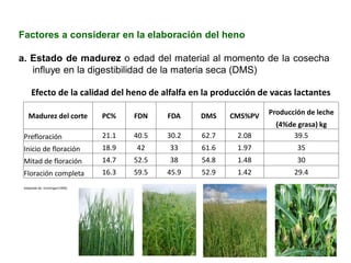 Factores a considerar en la elaboración del heno
a. Estado de madurez o edad del material al momento de la cosecha
influye en la digestibilidad de la materia seca (DMS)
Efecto de la calidad del heno de alfalfa en la producción de vacas lactantes
Madurez del corte PC% FDN FDA DMS CMS%PV Producción de leche
(4%de grasa) kg
Prefloración 21.1 40.5 30.2 62.7 2.08 39.5
Inicio de floración 18.9 42 33 61.6 1.97 35
Mitad de floración 14.7 52.5 38 54.8 1.48 30
Floración completa 16.3 59.5 45.9 52.9 1.42 29.4
Adaptado de: Ensminger(1990).
 
