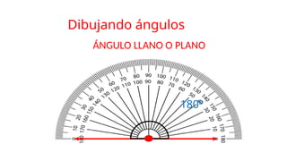 180°
ÁNGULO LLANO O PLANO
Dibujando ángulos
 
