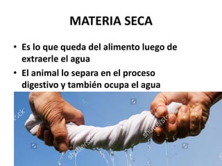 MATERIA SECA
• Es lo que queda del alimento luego de
extraerle el agua
• El animal lo separa en el proceso
digestivo y también ocupa el agua
 