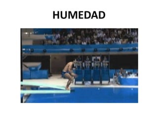 HUMEDAD
 