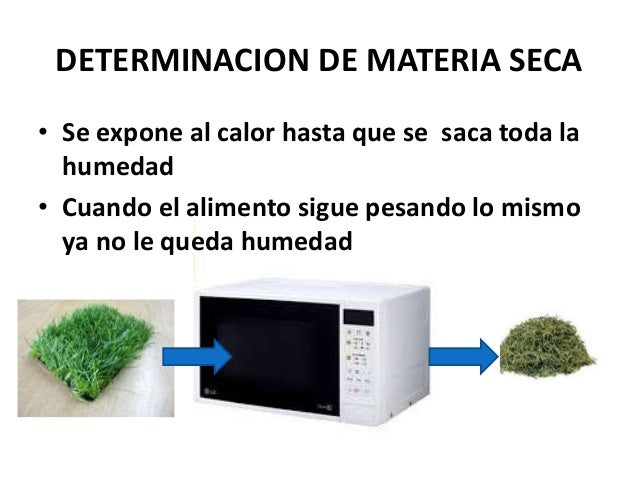 Clase materia seca