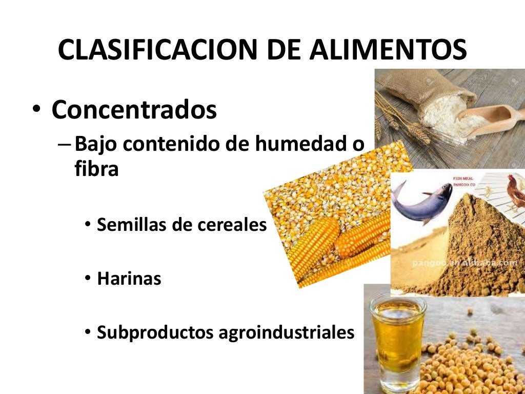 Clase materia seca
