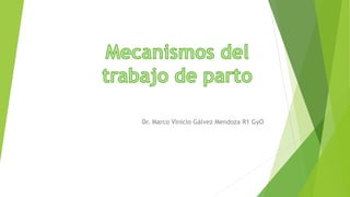 Dr. Marco Vinicio Gálvez Mendoza R1 GyO
 