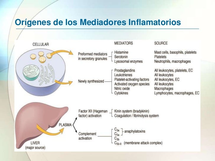Mediadores Primarios Y Secundarios De La Inflamacion