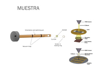 MUESTRA
 