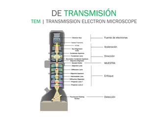 Fuente de electrones
Aceleración
Dirección
MUESTRA
Enfoque
Detección
DE TRANSMISIÓN
TEM | TRANSMISSION ELECTRON MICROSCOPE
 