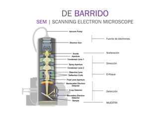 DE BARRIDO
SEM | SCANNING ELECTRON MICROSCOPE
Fuente de electrones
Aceleración
Dirección
MUESTRA
Enfoque
Detección
 